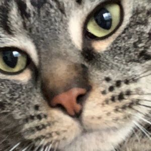 Meet your Posher, Ilima